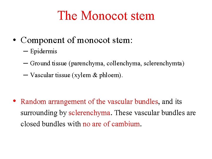 The Monocot stem • Component of monocot stem: – Epidermis – Ground tissue (parenchyma,
