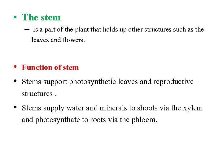  • The stem – is a part of the plant that holds up