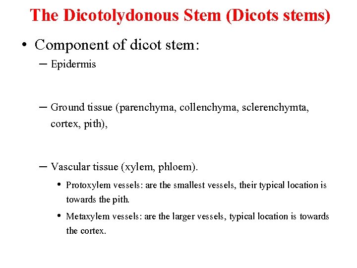 The Dicotolydonous Stem (Dicots stems) • Component of dicot stem: – Epidermis – Ground