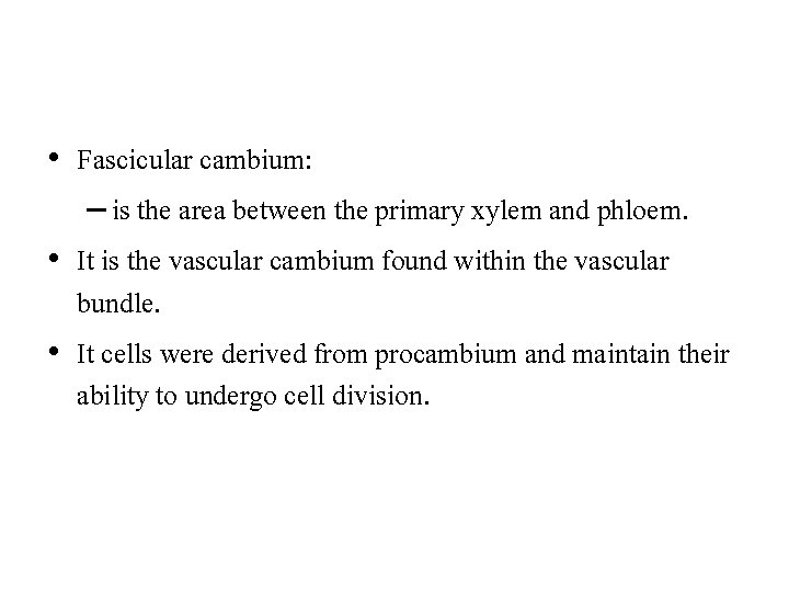  • Fascicular cambium: – is the area between the primary xylem and phloem.