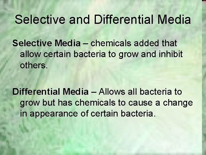 Selective and Differential Media Selective Media – chemicals added that allow certain bacteria to