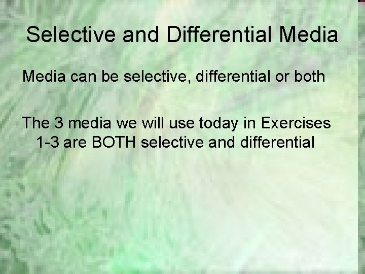 Selective and Differential Media can be selective, differential or both The 3 media we