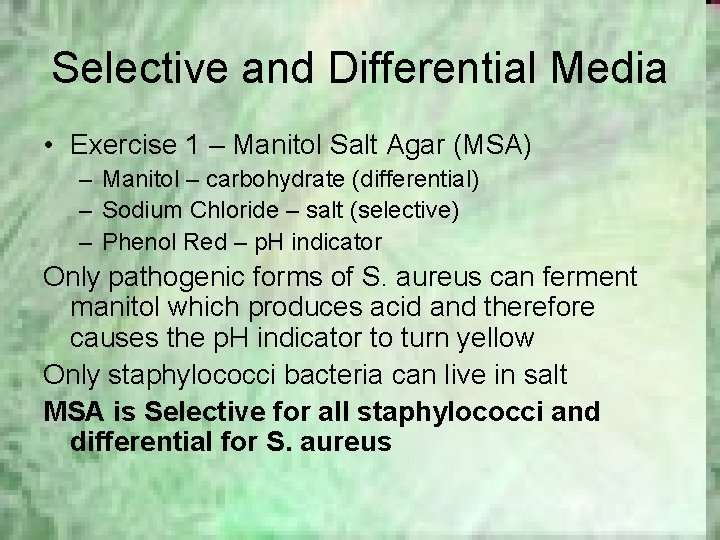 Selective and Differential Media • Exercise 1 – Manitol Salt Agar (MSA) – Manitol