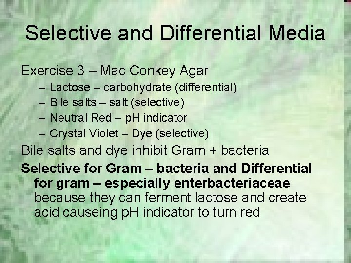 Selective and Differential Media Exercise 3 – Mac Conkey Agar – – Lactose –