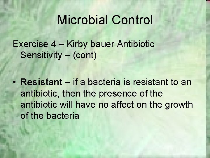 Microbial Control Exercise 4 – Kirby bauer Antibiotic Sensitivity – (cont) • Resistant –