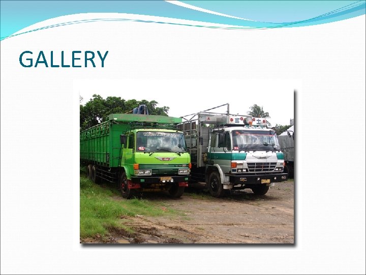 GALLERY 