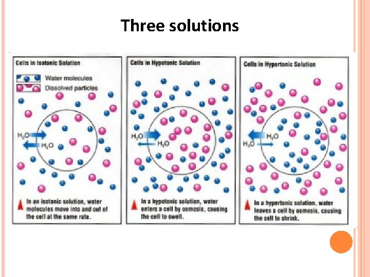 Three solutions 
