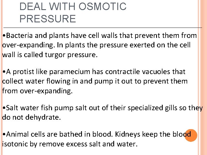 DEAL WITH OSMOTIC PRESSURE • Bacteria and plants have cell walls that prevent them