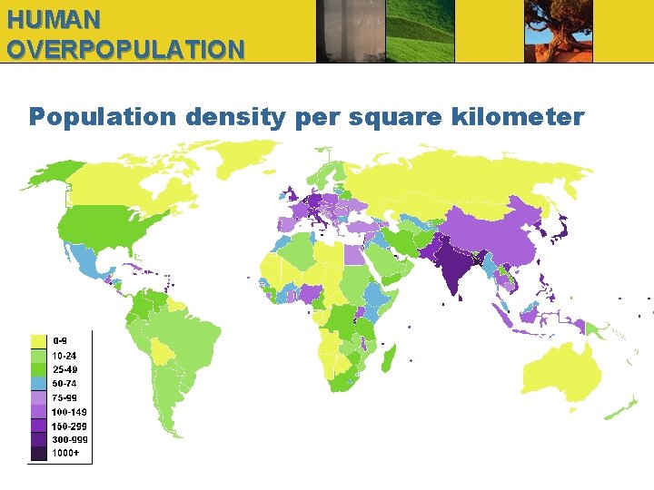 HUMAN OVERPOPULATION Population density per square kilometer 