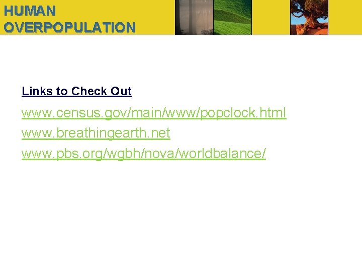 HUMAN OVERPOPULATION Links to Check Out www. census. gov/main/www/popclock. html www. breathingearth. net www.