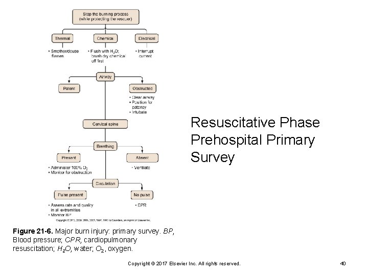 Resuscitative Phase Prehospital Primary Survey Figure 21 -6. Major burn injury: primary survey. BP,