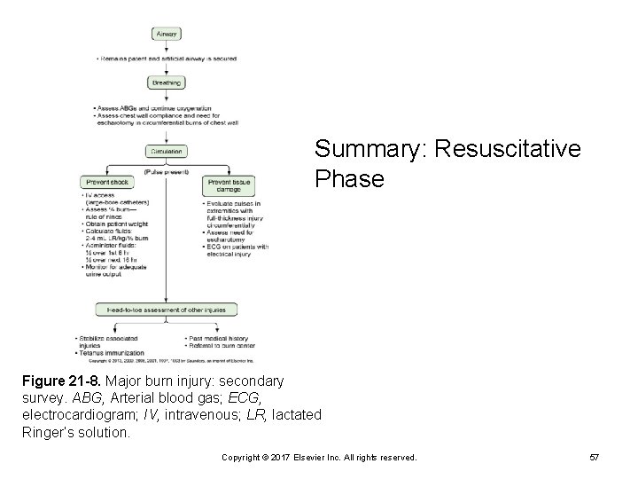 Summary: Resuscitative Phase Figure 21 -8. Major burn injury: secondary survey. ABG, Arterial blood