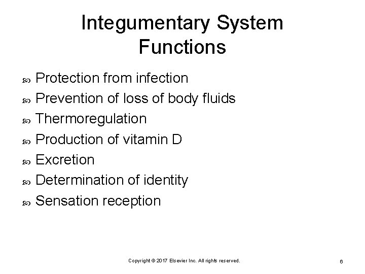 Integumentary System Functions Protection from infection Prevention of loss of body fluids Thermoregulation Production