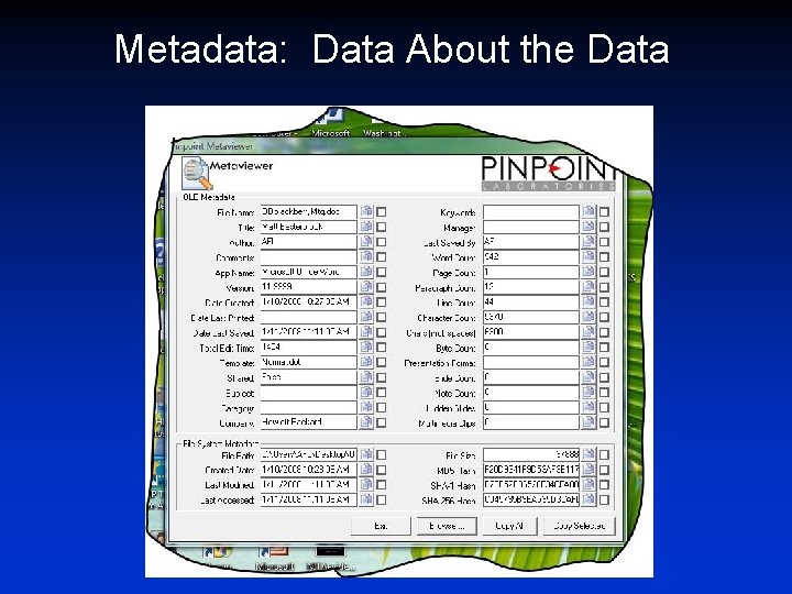 Metadata: Data About the Data 