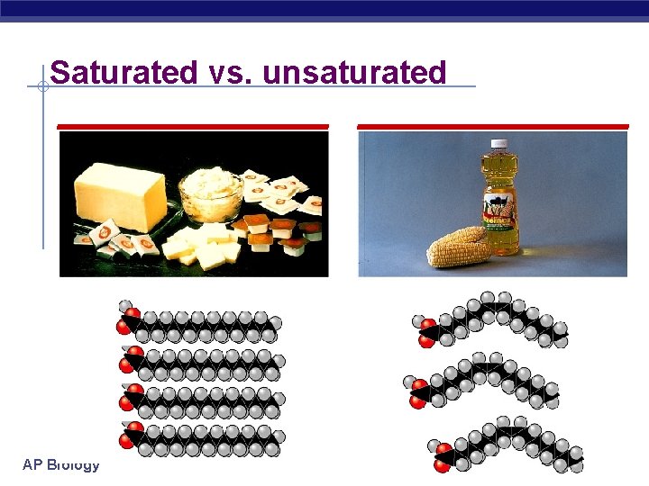 Saturated vs. unsaturated _______________ AP Biology 