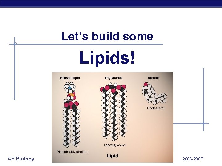 Let’s build some Lipids! AP Biology 2006 -2007 