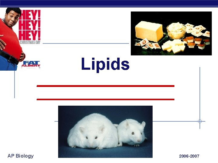 Lipids ________________________ AP Biology 2006 -2007 