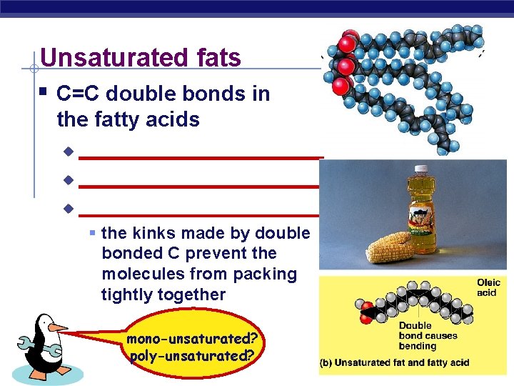 Unsaturated fats § C=C double bonds in the fatty acids ______________________ u § the