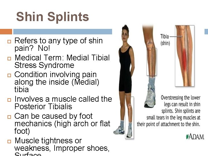 Shin Splints Refers to any type of shin pain? No! Medical Term: Medial Tibial