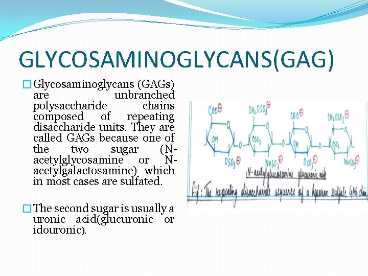 EXTRACELLULAR MATRIX MOLECULAR ORGANIZATION AND FUNCTION SUBMITTED BY