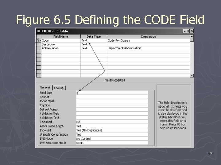 Figure 6. 5 Defining the CODE Field 13 