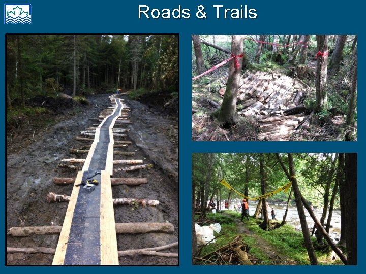Roads & Trails 
