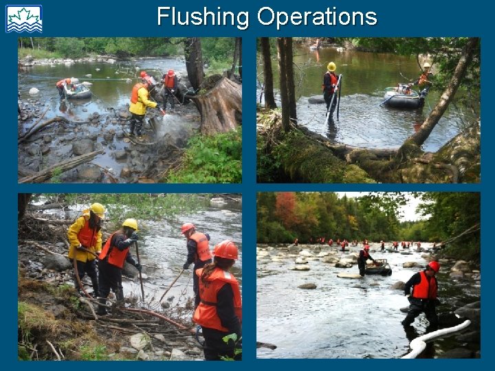 Flushing Operations 