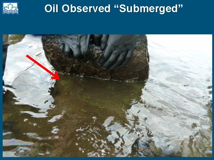 Oil Observed “Submerged” 