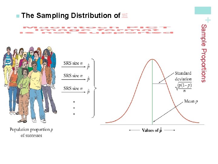 Sampling Distribution of As n increases, the sampling distribution becomes approximately Normal. Before you