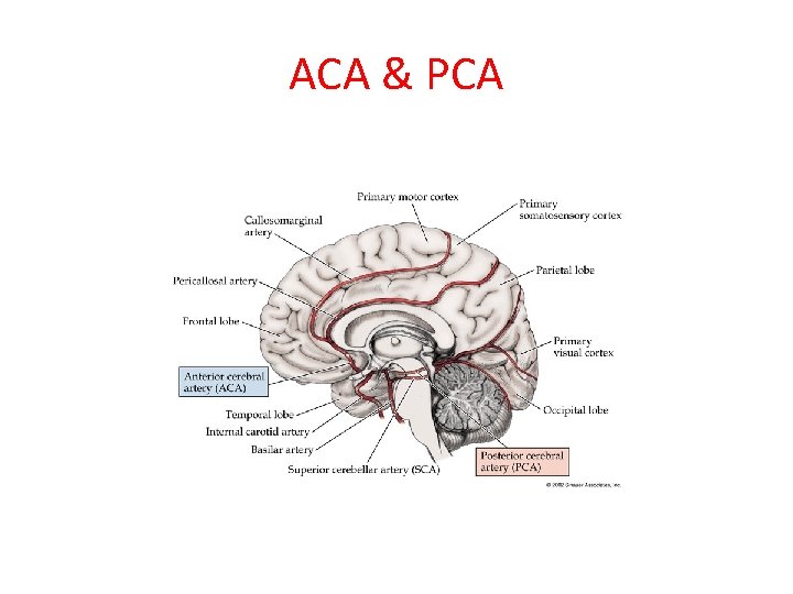 ACA & PCA 