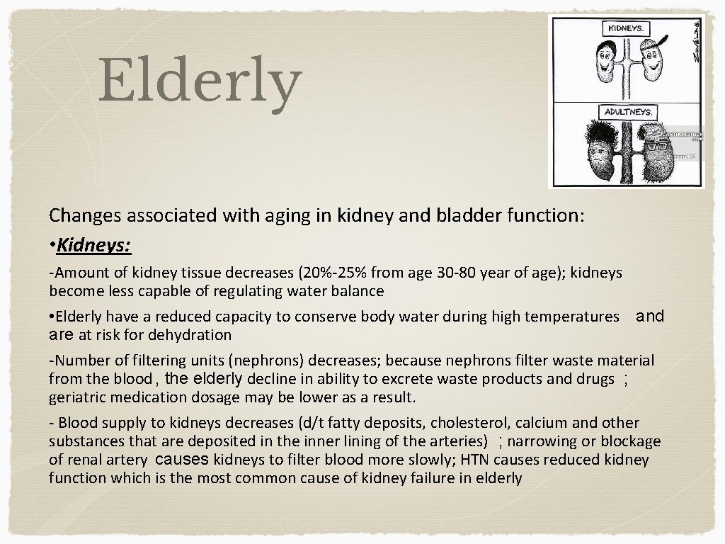 Elderly Changes associated with aging in kidney and bladder function: • Kidneys: -Amount of
