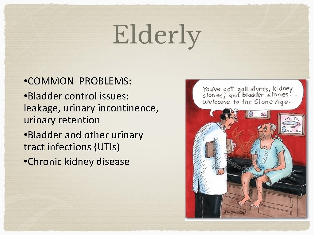 Elderly • COMMON PROBLEMS: • Bladder control issues: leakage, urinary incontinence, urinary retention •