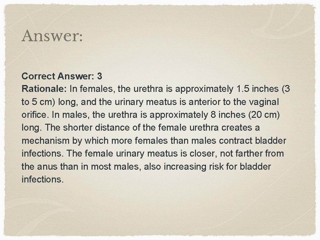 Answer: Correct Answer: 3 Rationale: In females, the urethra is approximately 1. 5 inches