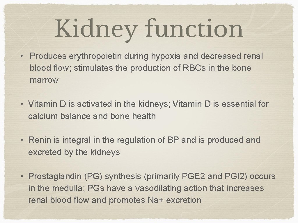 Kidney function • Produces erythropoietin during hypoxia and decreased renal blood flow; stimulates the