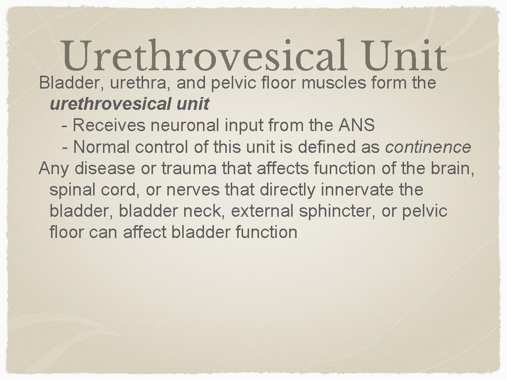 Urethrovesical Unit Bladder, urethra, and pelvic floor muscles form the urethrovesical unit - Receives