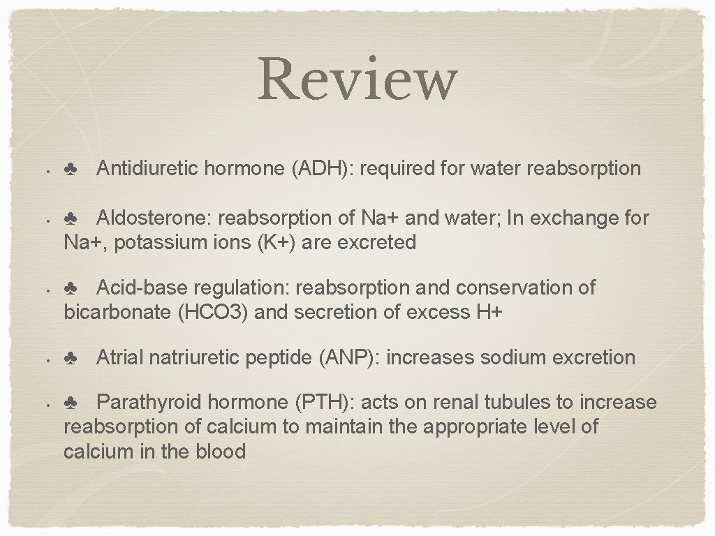 Review • • • ♣ Antidiuretic hormone (ADH): required for water reabsorption ♣ Aldosterone:
