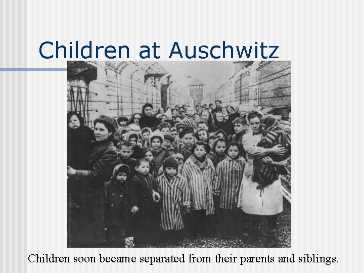 Children at Auschwitz Children soon became separated from their parents and siblings. 