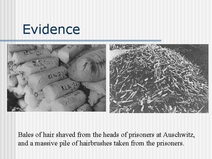 Evidence Bales of hair shaved from the heads of prisoners at Auschwitz, and a