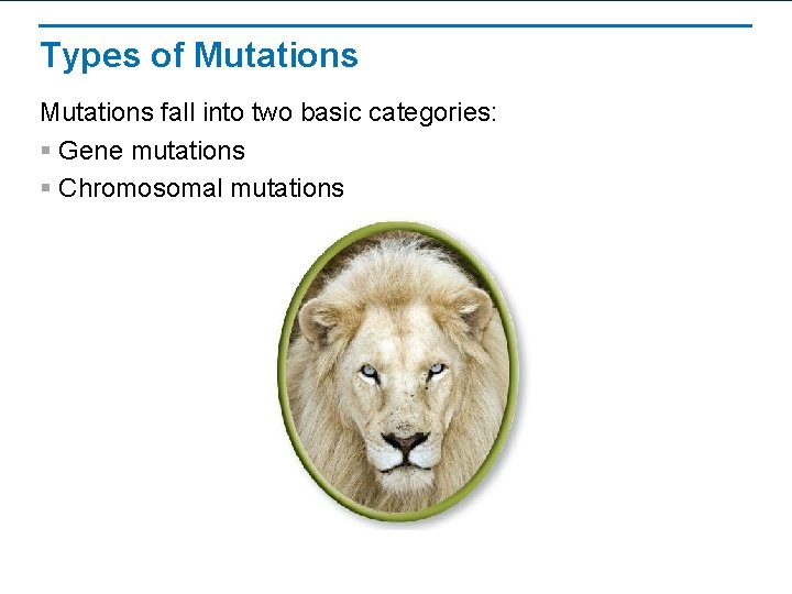 Types of Mutations fall into two basic categories: § Gene mutations § Chromosomal mutations