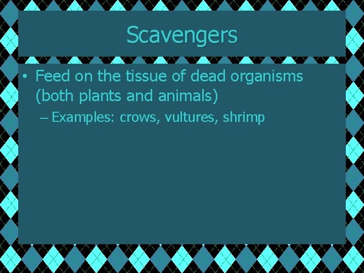 Scavengers • Feed on the tissue of dead organisms (both plants and animals) –