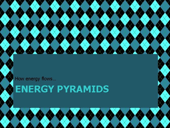 How energy flows… ENERGY PYRAMIDS 