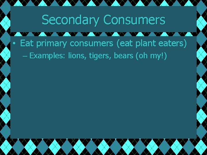 Secondary Consumers • Eat primary consumers (eat plant eaters) – Examples: lions, tigers, bears