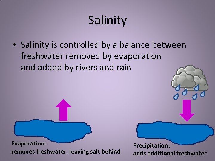 Salinity • Salinity is controlled by a balance between freshwater removed by evaporation and