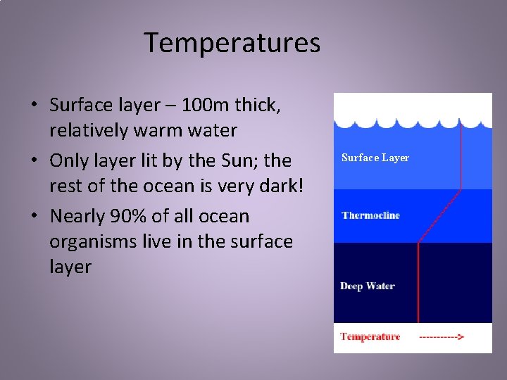 Temperatures • Surface layer – 100 m thick, relatively warm water • Only layer
