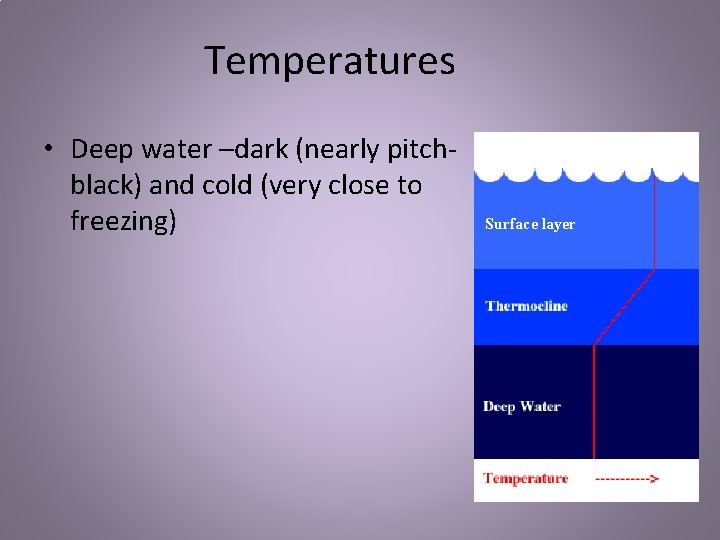 Temperatures • Deep water –dark (nearly pitchblack) and cold (very close to freezing) Surface
