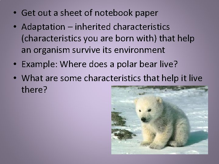  • Get out a sheet of notebook paper • Adaptation – inherited characteristics