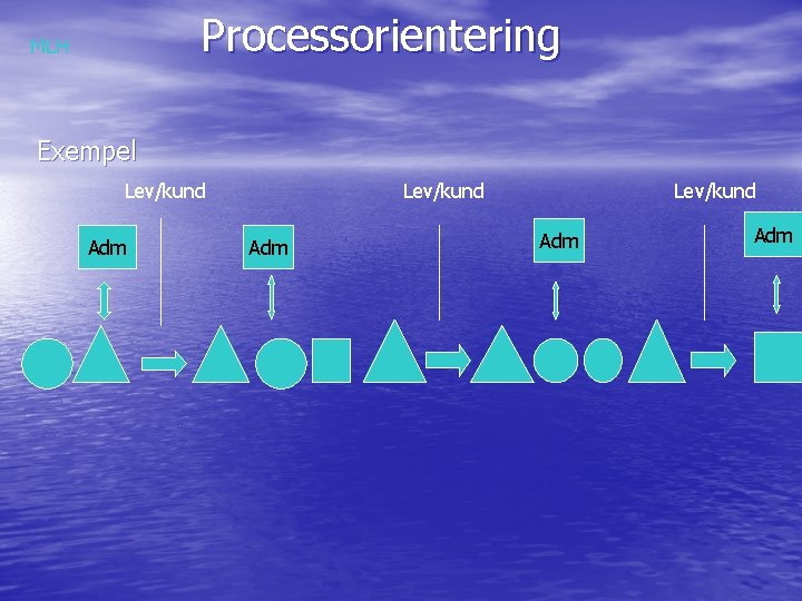 Processorientering MLH Exempel Lev/kund Adm 