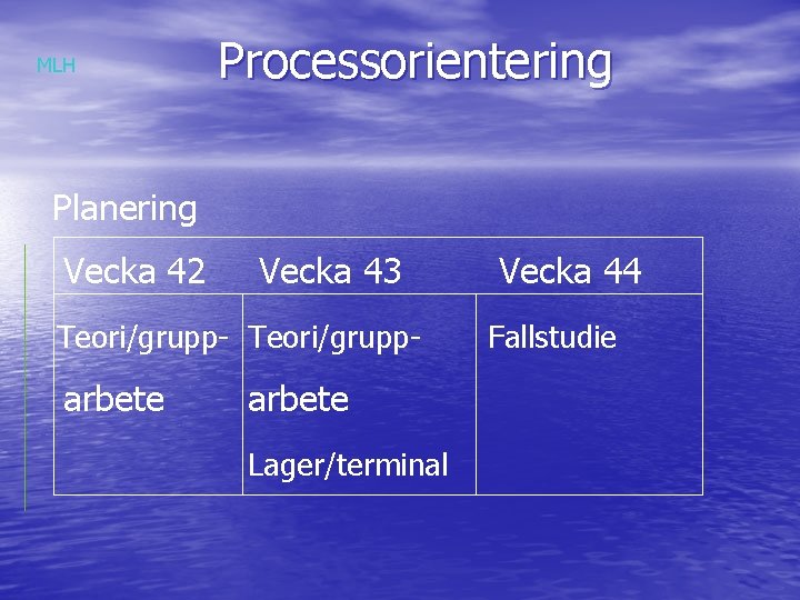 MLH Processorientering Planering Vecka 42 Vecka 43 Teori/grupp- arbete Lager/terminal Vecka 44 Fallstudie 