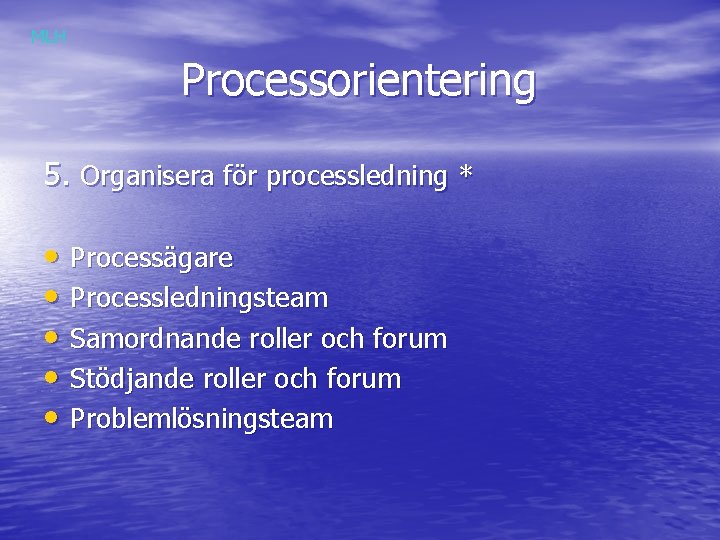 MLH Processorientering 5. Organisera för processledning * • Processägare • Processledningsteam • Samordnande roller