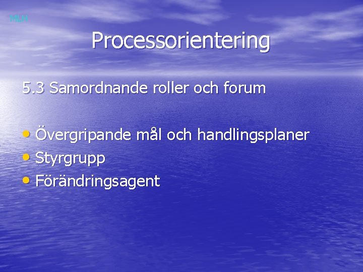 MLH Processorientering 5. 3 Samordnande roller och forum • Övergripande mål och handlingsplaner •